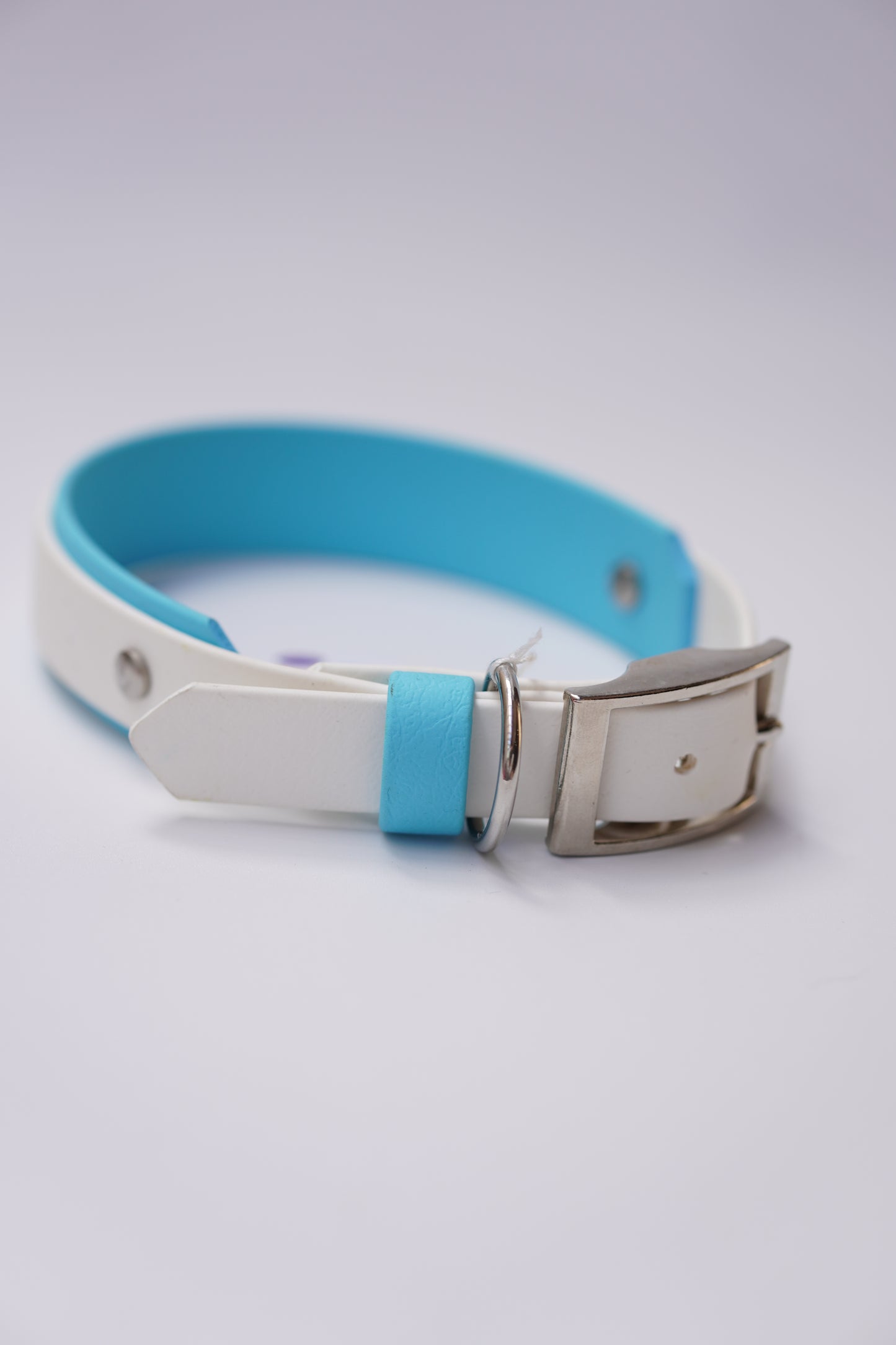 Paris collar (30-36cm) Skyan & white