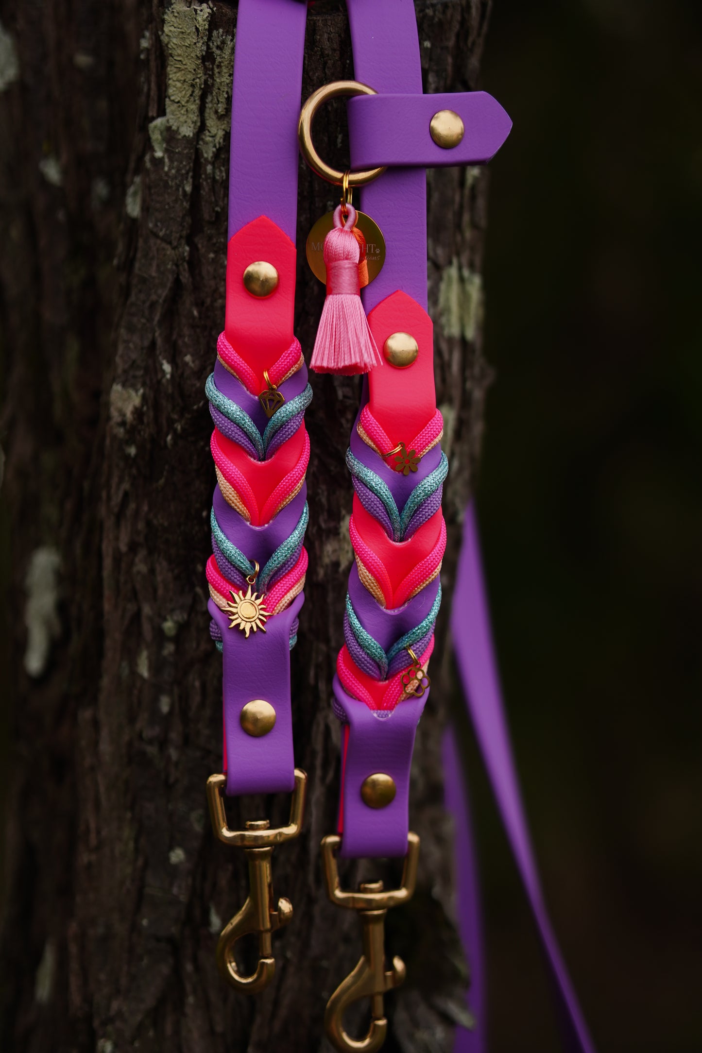 Twisted Biothane Hands-Free leash (NEW)