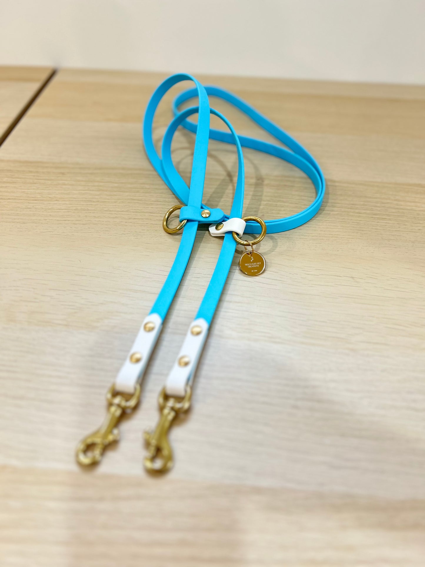 Hands-free biothane leash