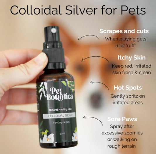Colloidal Silver Healing mist for pets 50ml