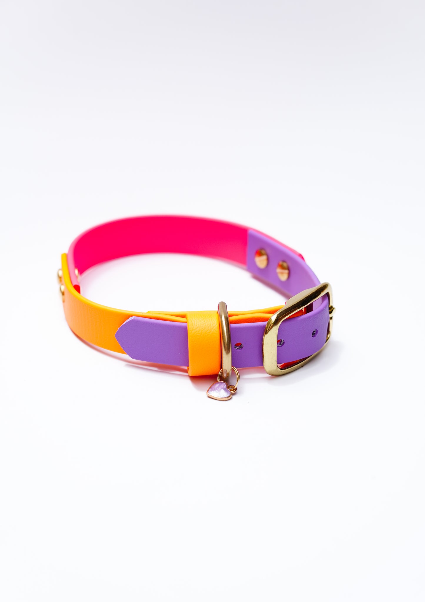 Bright Biothane collar/ 30-36cm