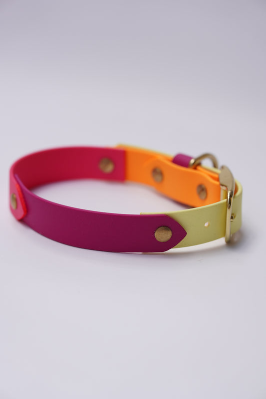 Prague collar 25mm width (M)