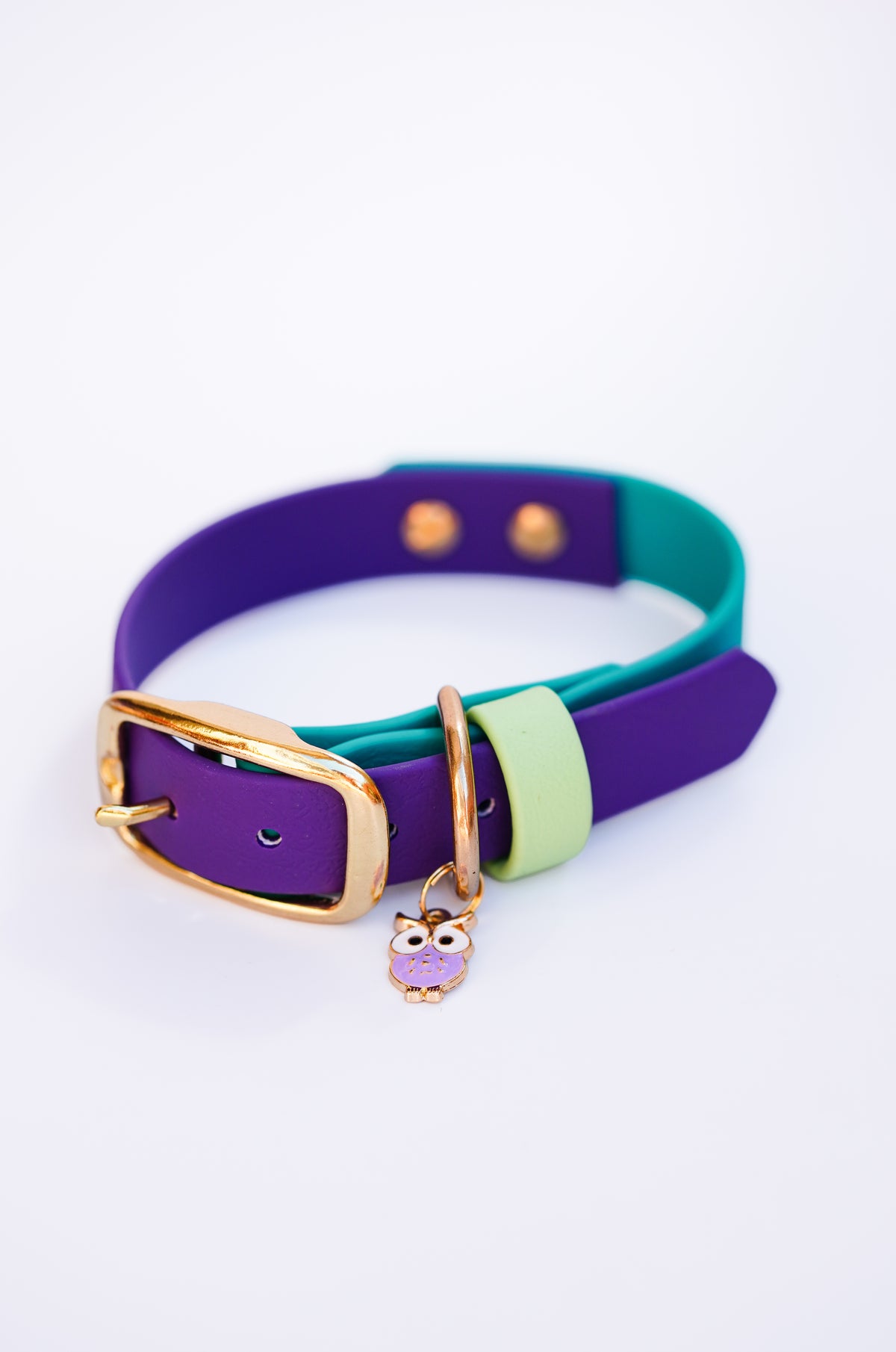 Flat collar/ 25-31cm