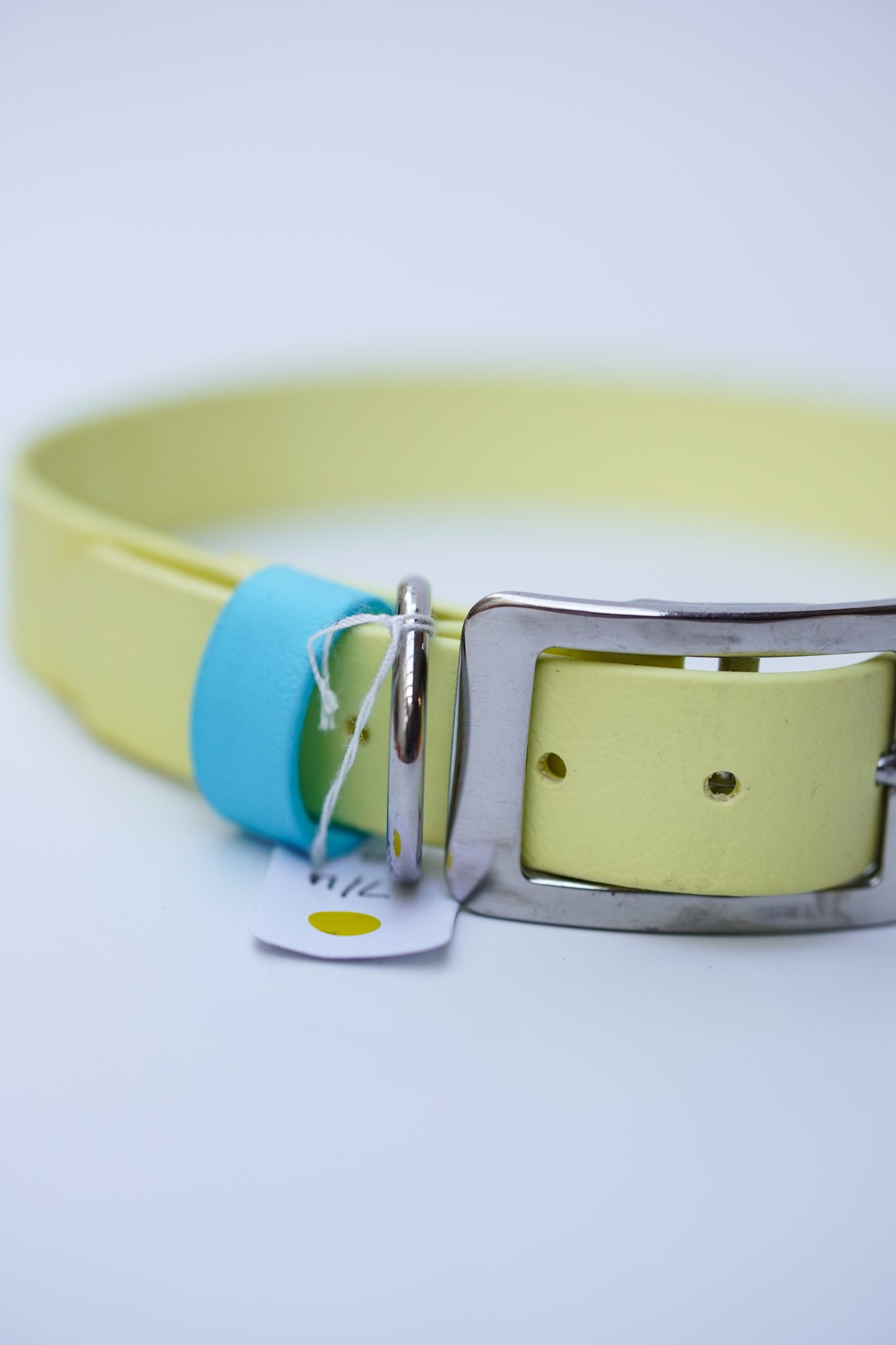 Biothane collar 25mm width (M)