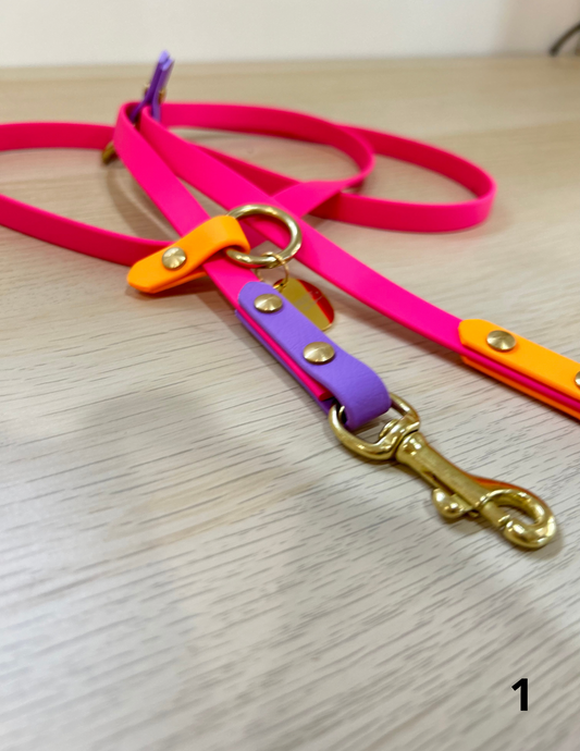 1m60 Hands-Free leash