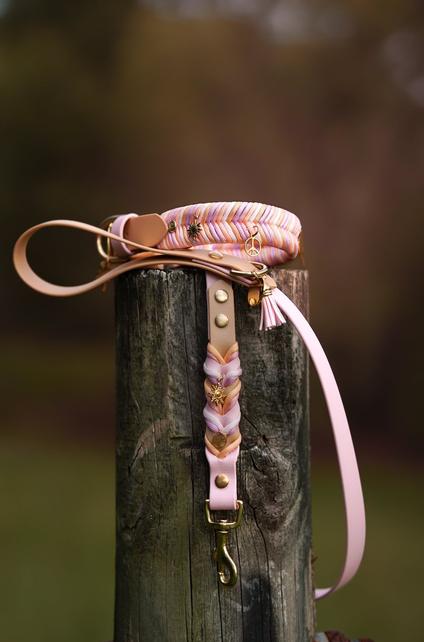 Twisted Biothane leash ( NEW )