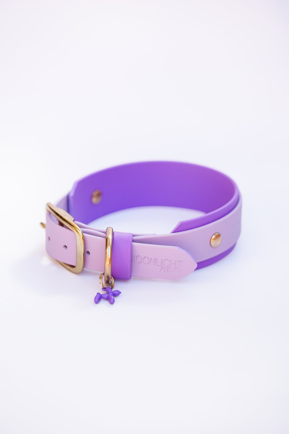Paris collar with name plate// 34-40cm