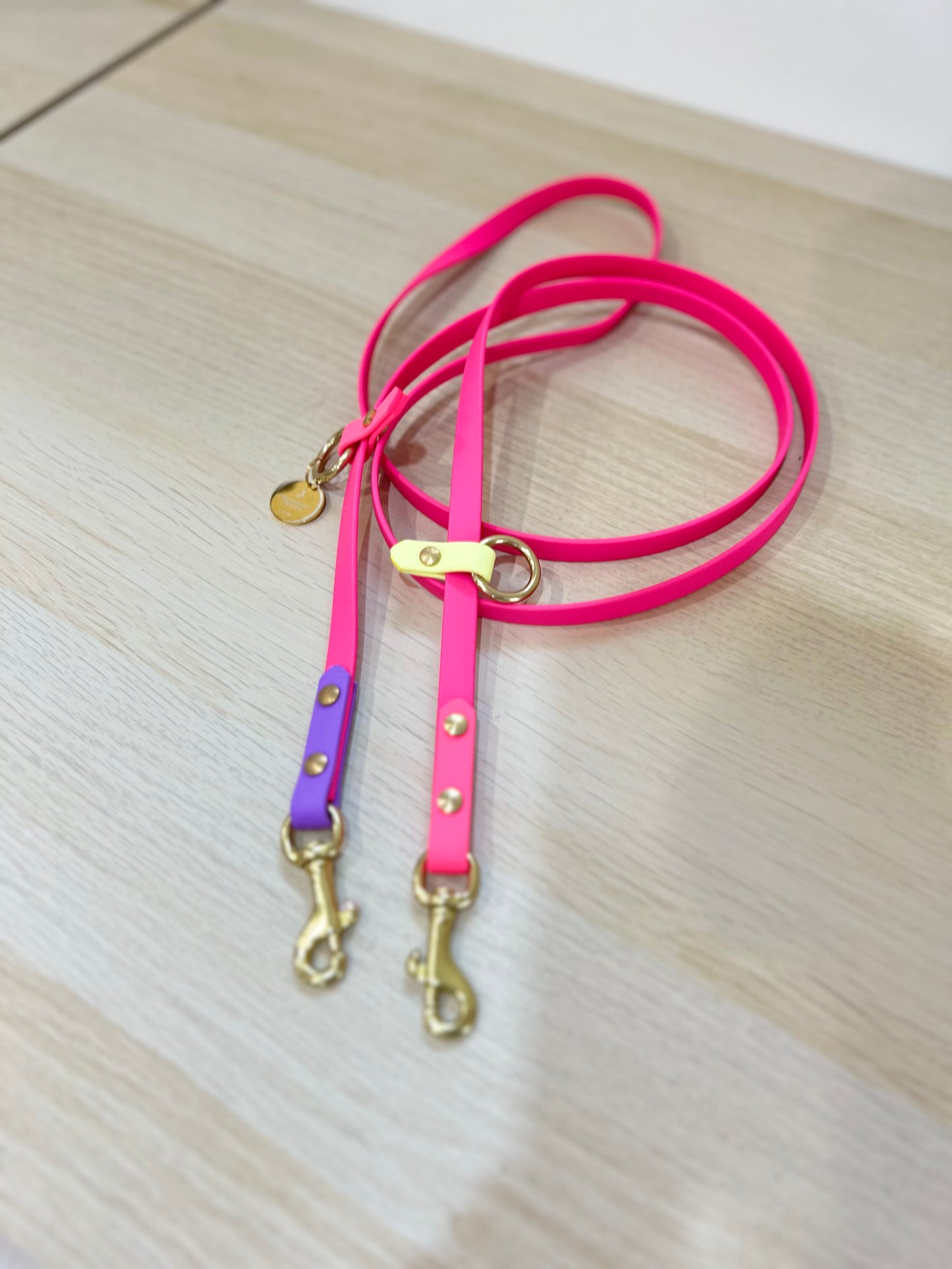 Hands-free biothane leash