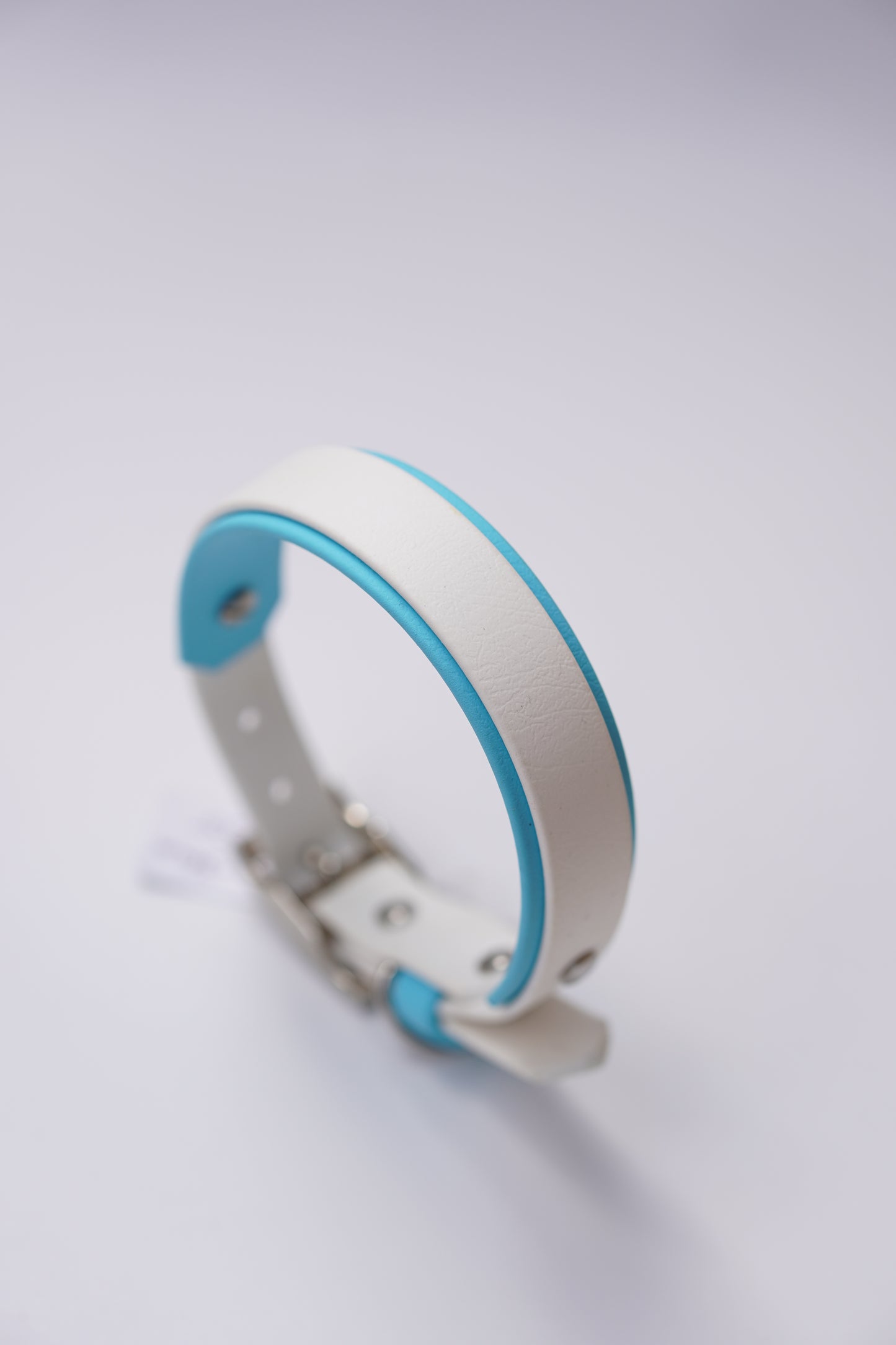 Paris collar (30-36cm) Skyan & white