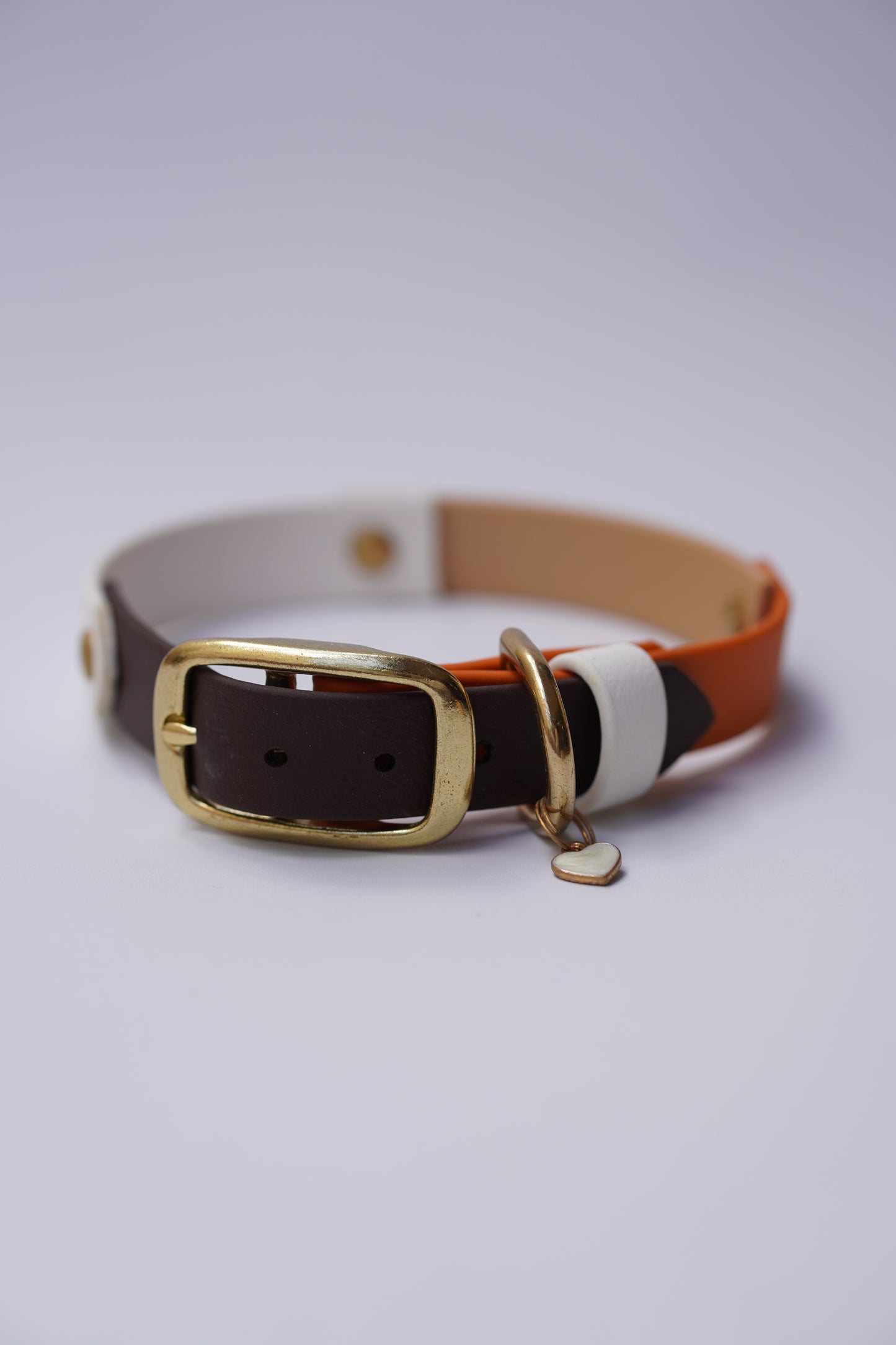 Prague collar 20mm width (S/M)