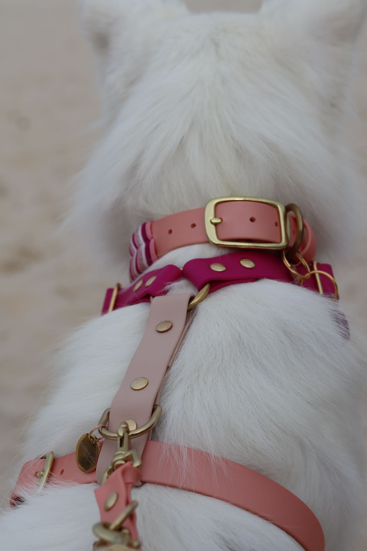 Adjustable Biothane Harness