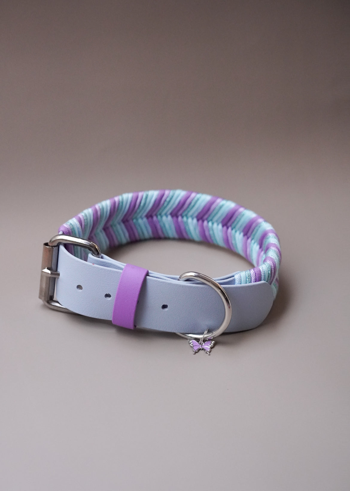 38mm width Sydney collar (40-50cm)