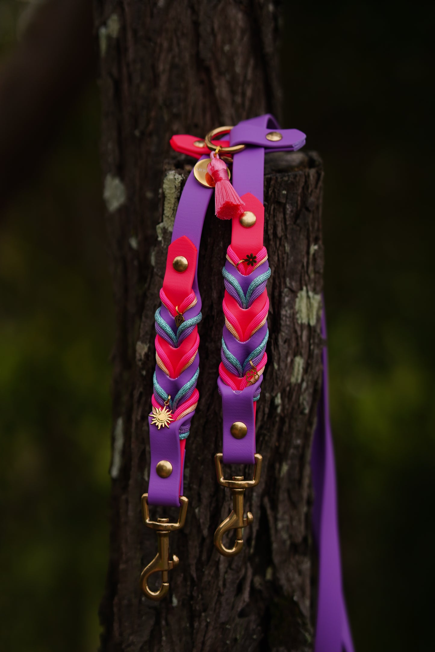 Twisted Biothane Hands-Free leash (NEW)