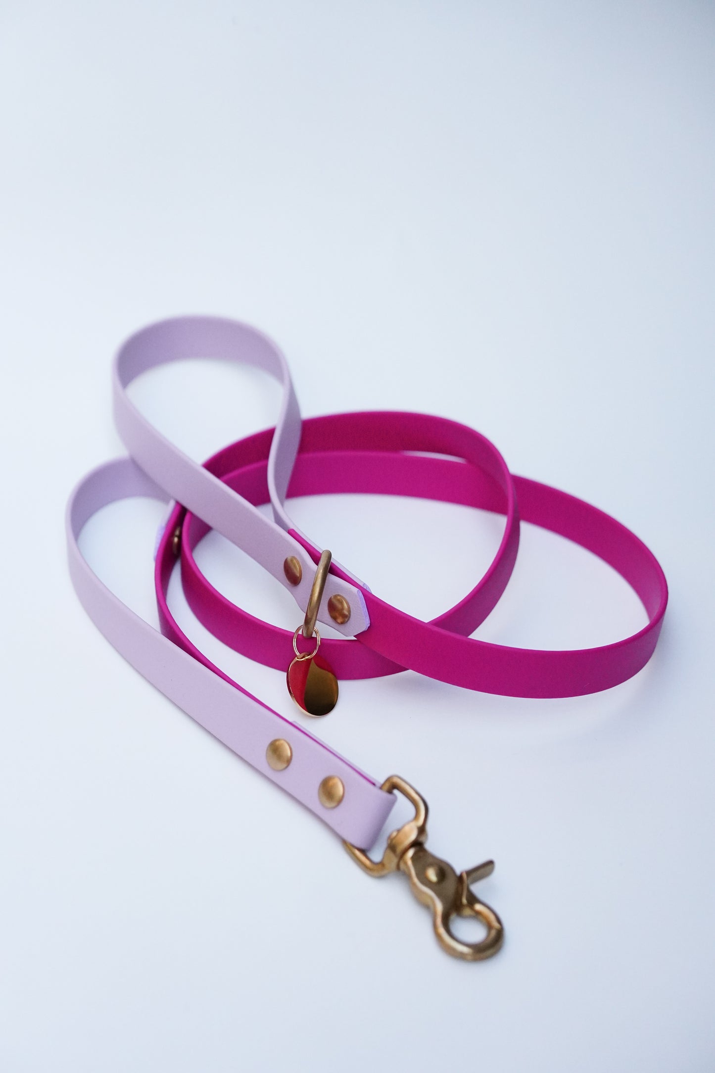 Biothane Leash 120cm