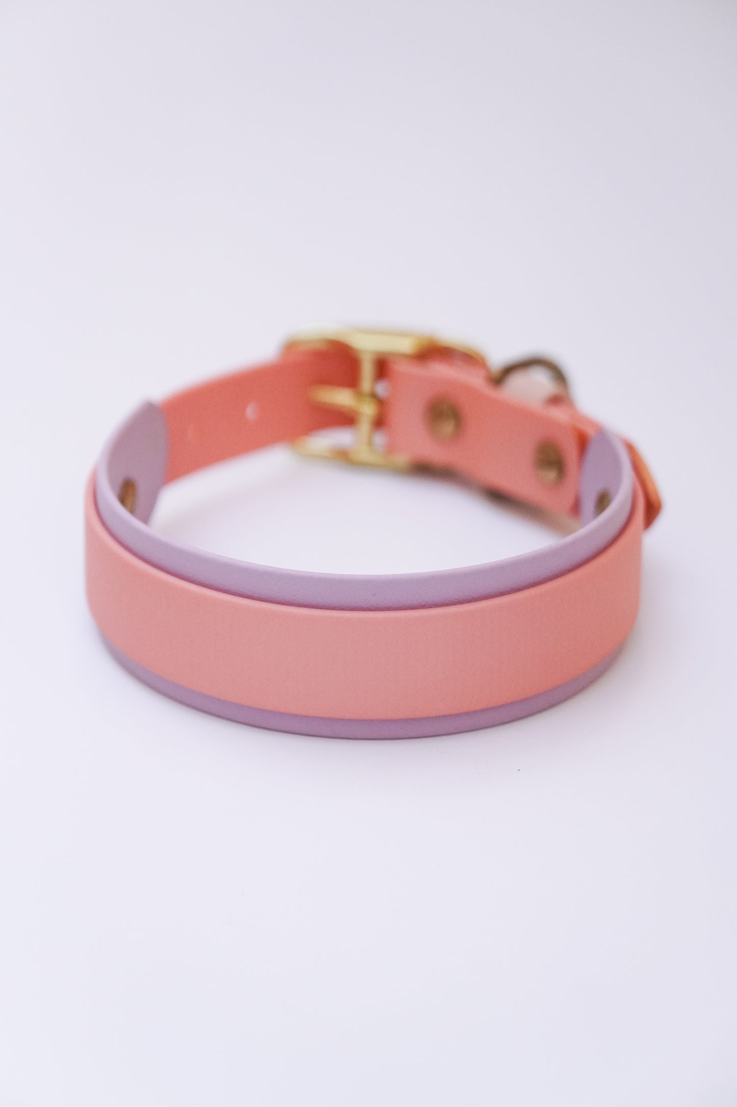 Collar & Leash set (36-46cm)