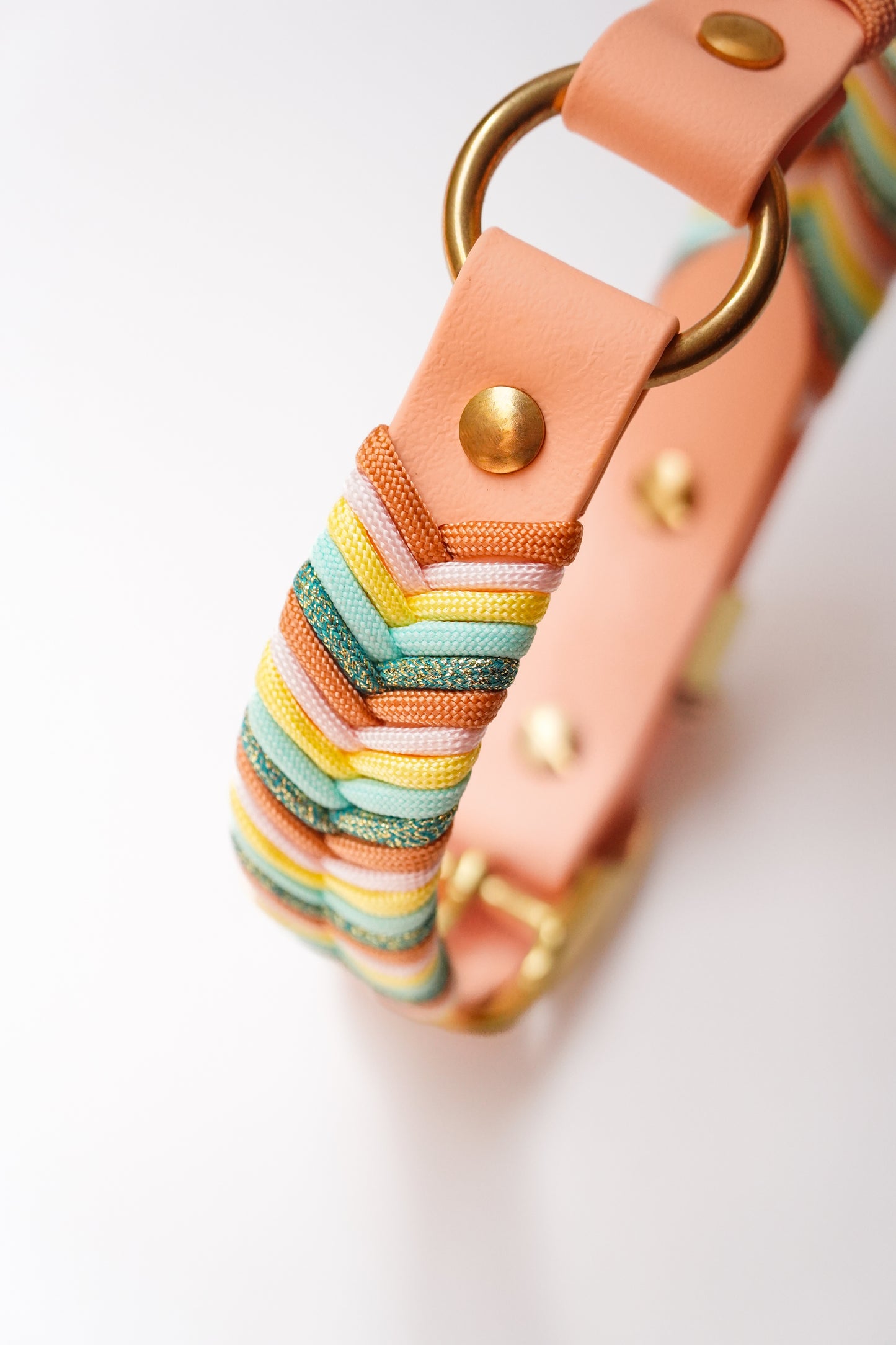 Sydney collar 25mm width (37-47cm)