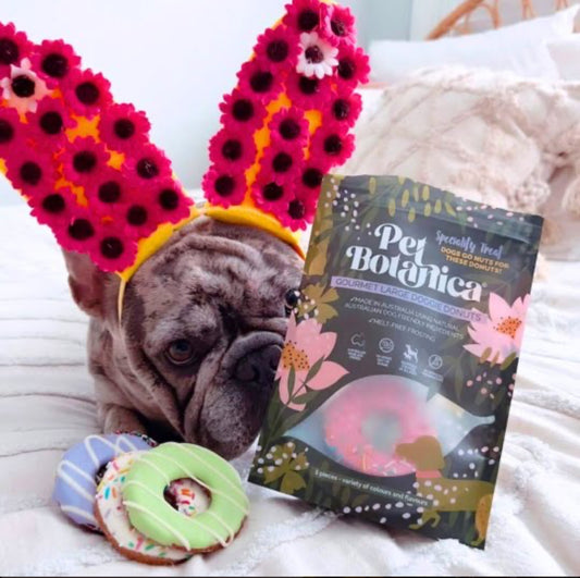 Gourmet Large Doggie Donuts 5pk