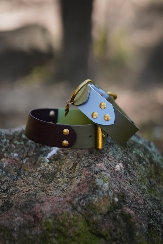 Custom 38mm Biothane® collar