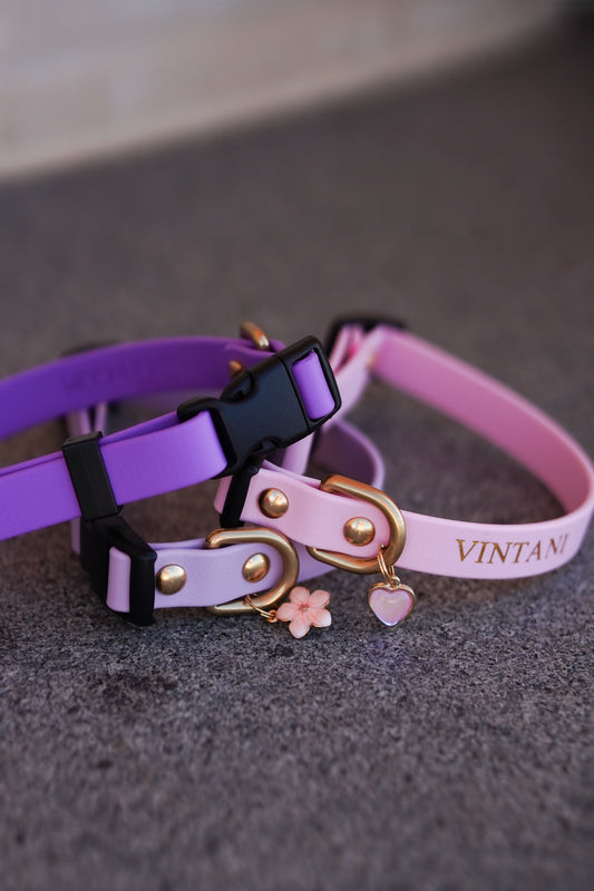 Thin Quick Release collar (Plastic Buckle)