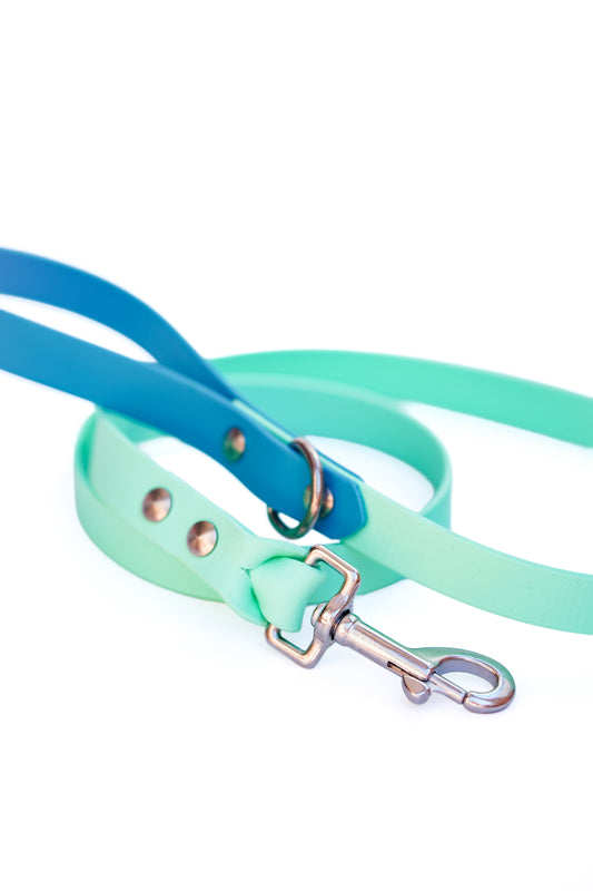 Biothane Leash 120cm - Lagune & Sea Foam