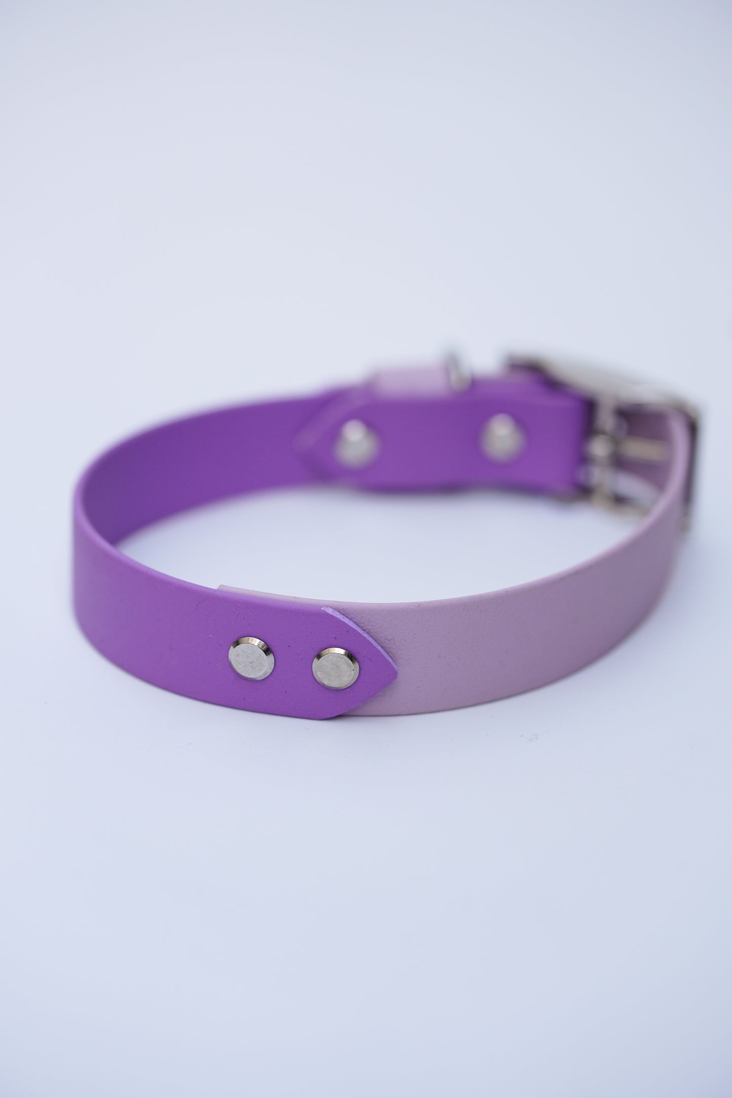 Prague collar 25mm width (M)