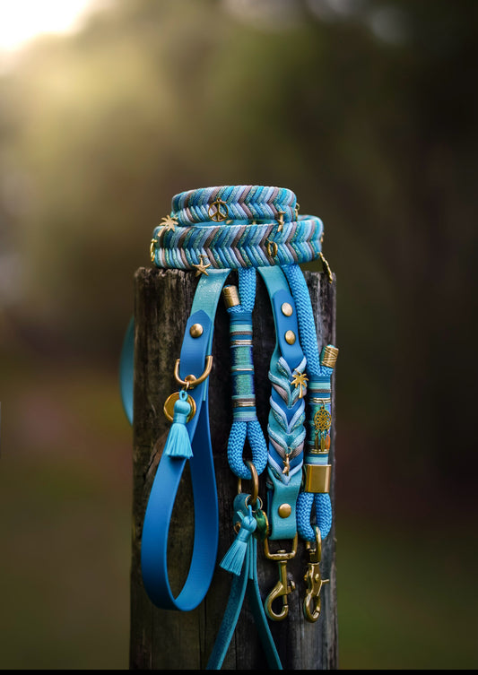 Wanderlust Biothane Leash