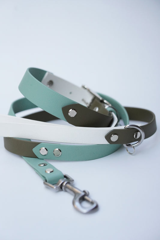 Collar & Leash set (35-45cm)