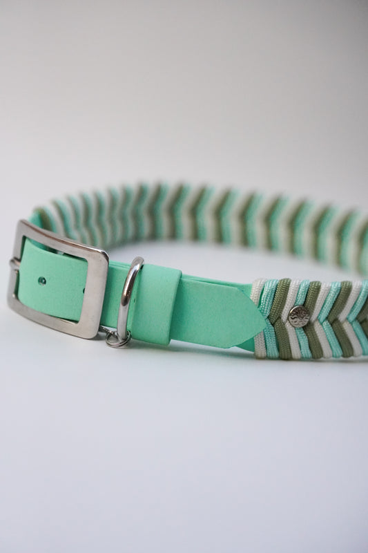 Sea Foam Sydney collar 25mm width (L/XL)
