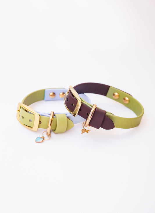 Two-tone San Diego collar 16 width (23-27cm)