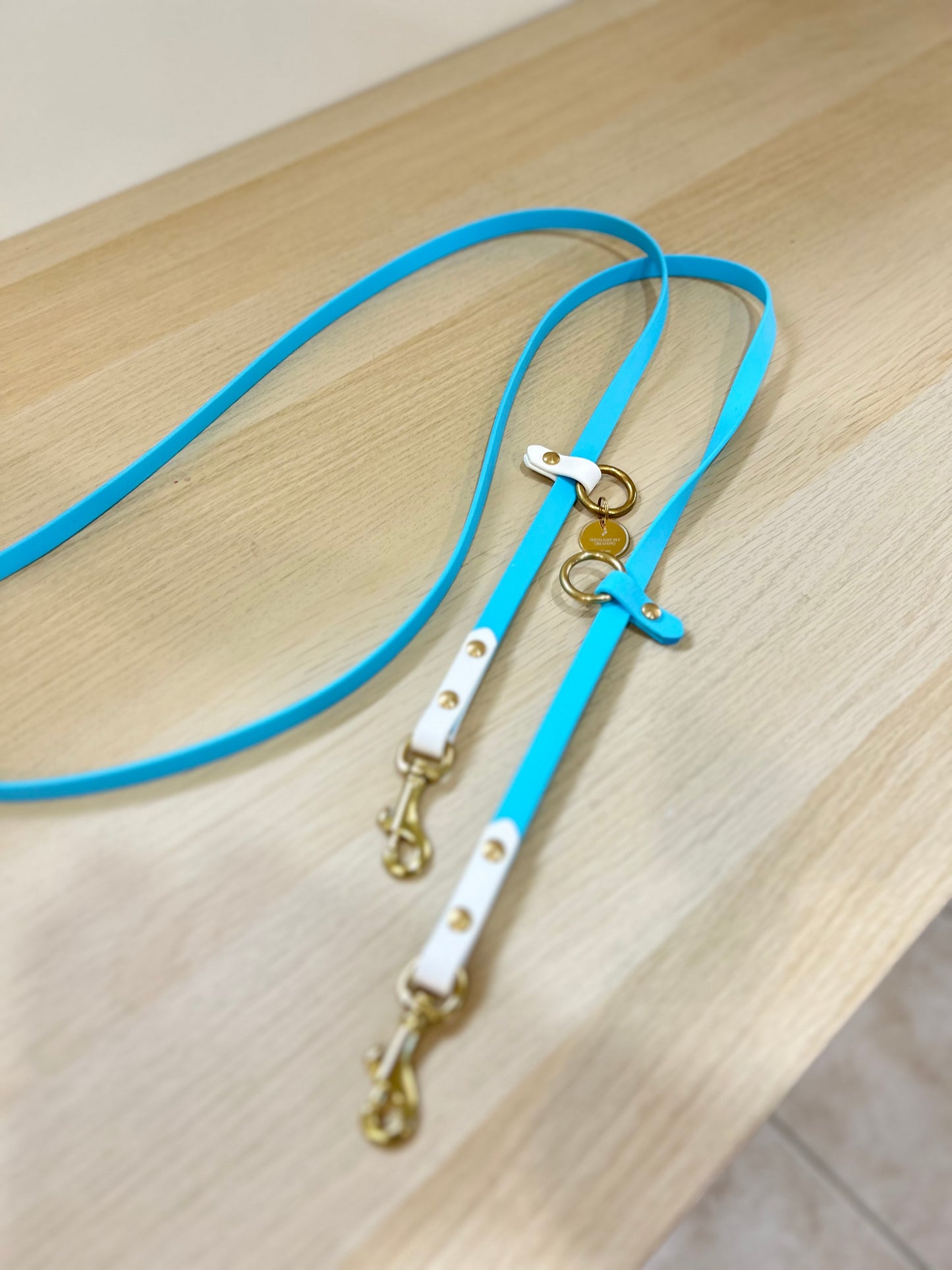 Hands-free biothane leash