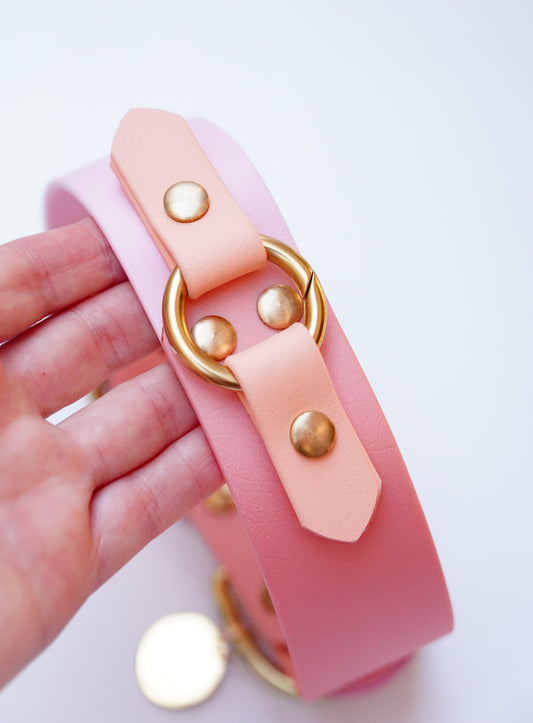 Biothane collar 38mm width size 38-46cm