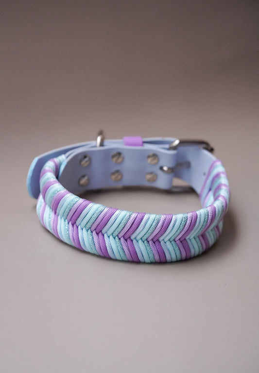 38mm width Sydney collar (40-50cm)
