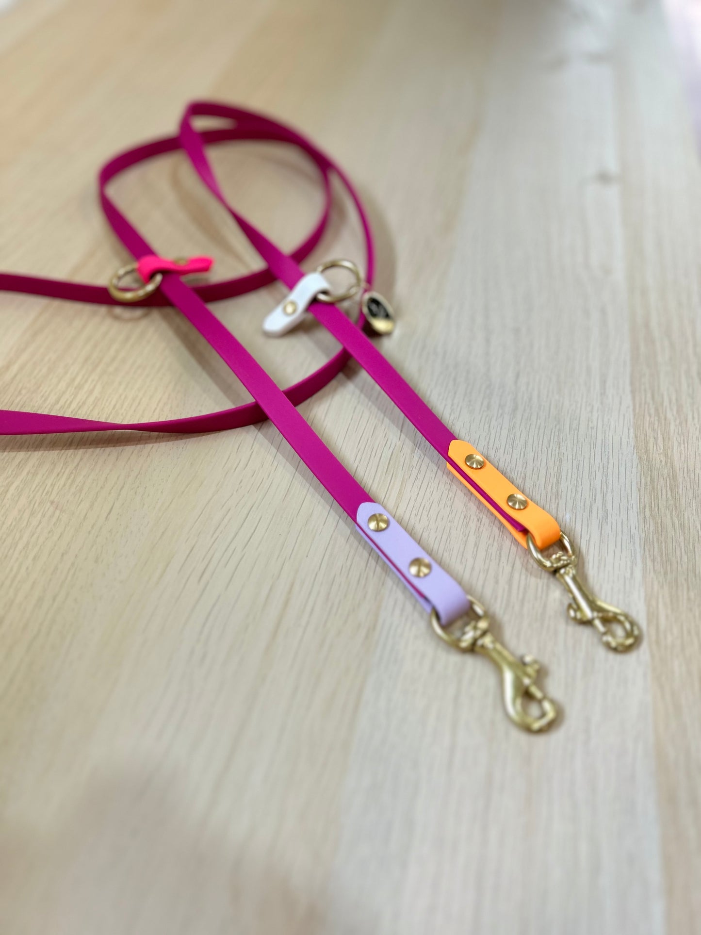 Hands-free biothane leash