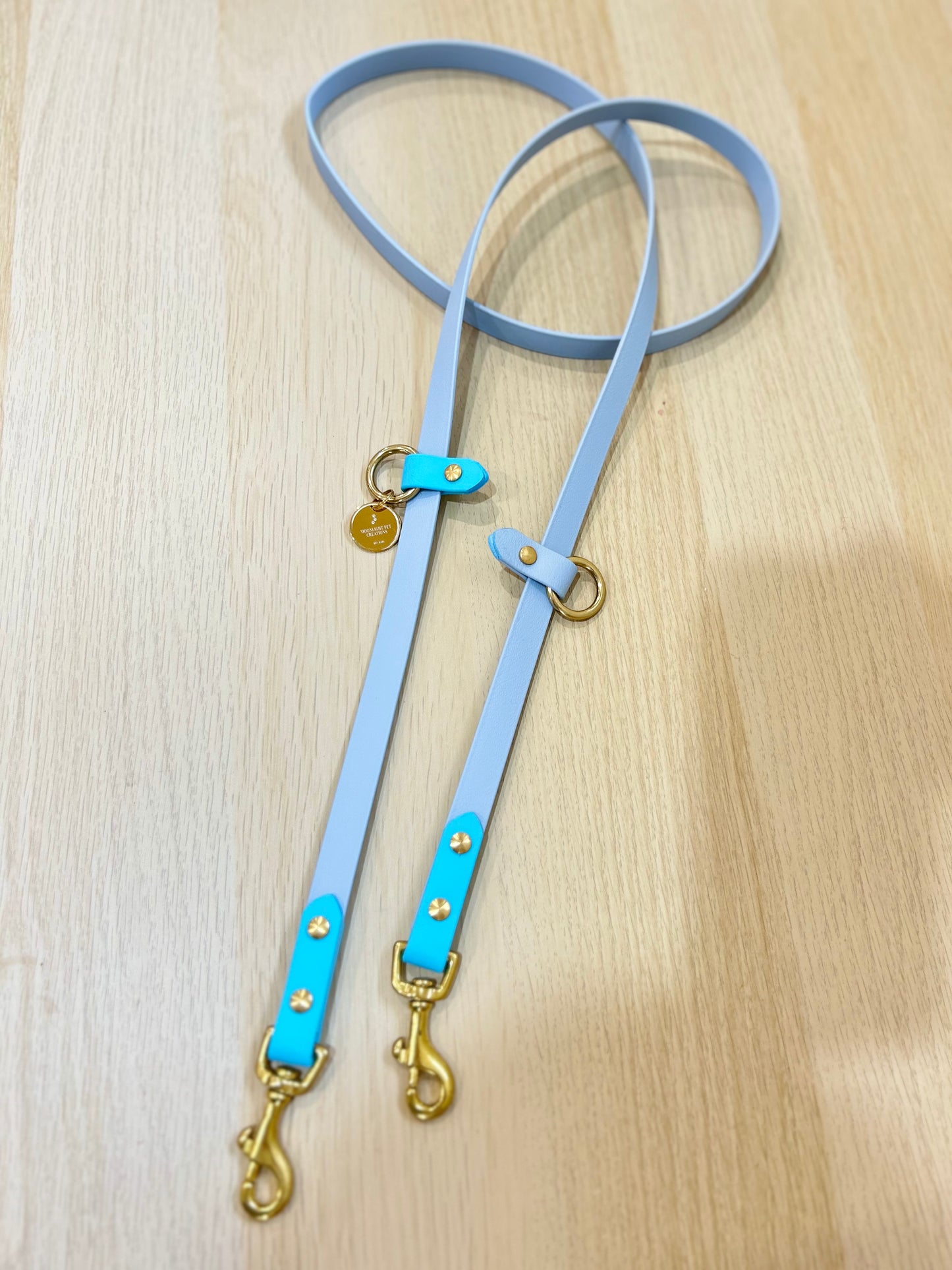 Hands-free biothane leash
