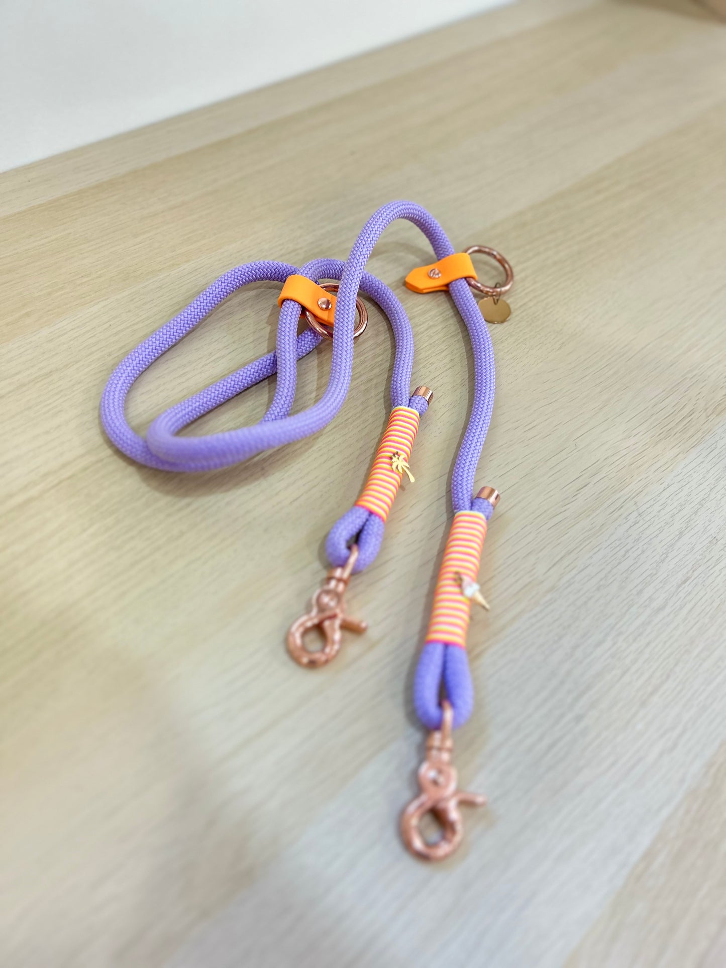 Hands-free rope leash
