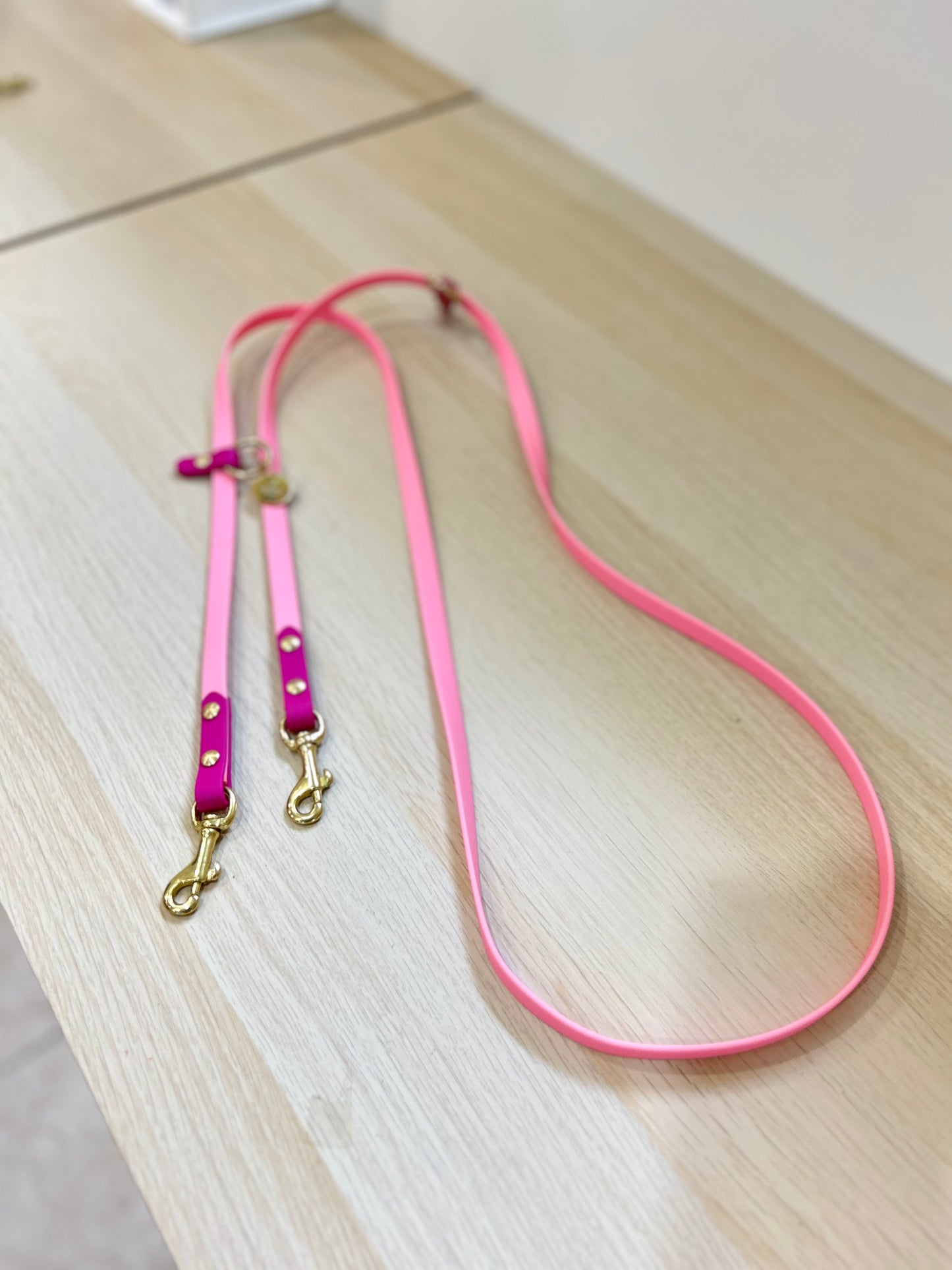 Hands-free biothane leash