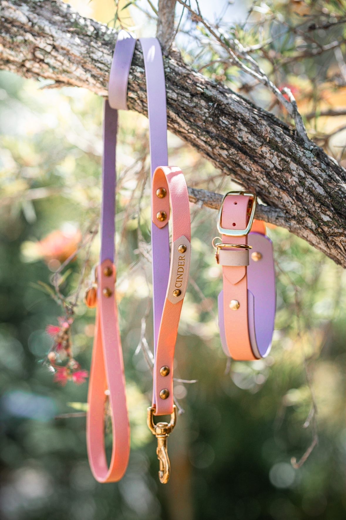 LEASH Add-Ons