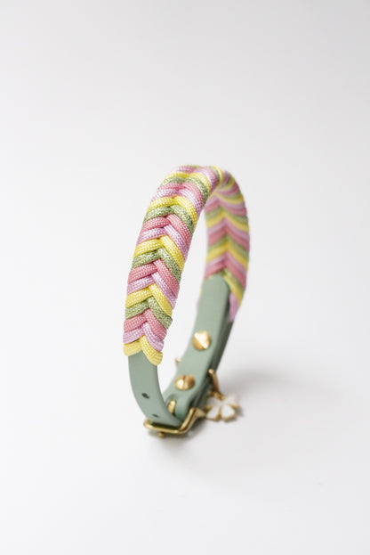 (TOY BREEDS) Sydney collar