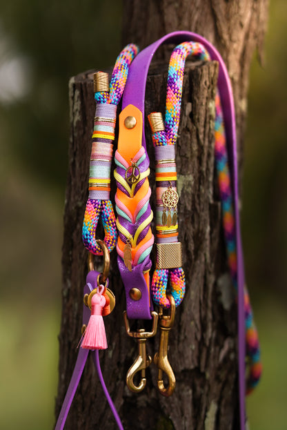 Wanderlust Biothane Leash
