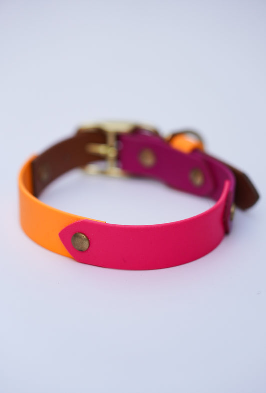 Prague collar 25mm width (M)