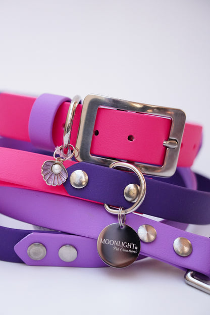 Collar & Leash set (35-45cm)