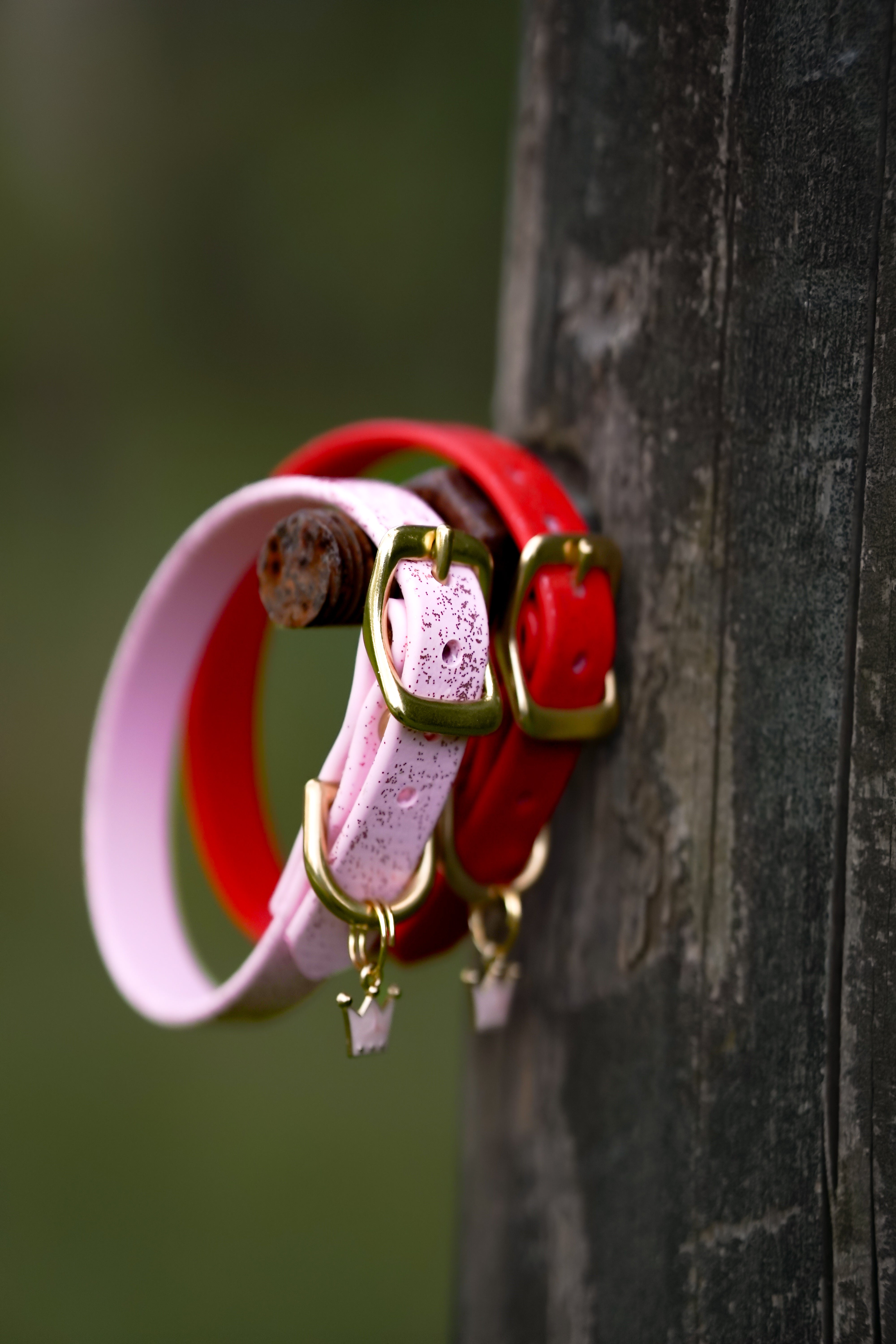 Puppy collars