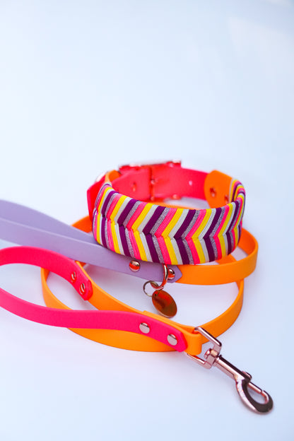 Sydney collars- Summer Combo