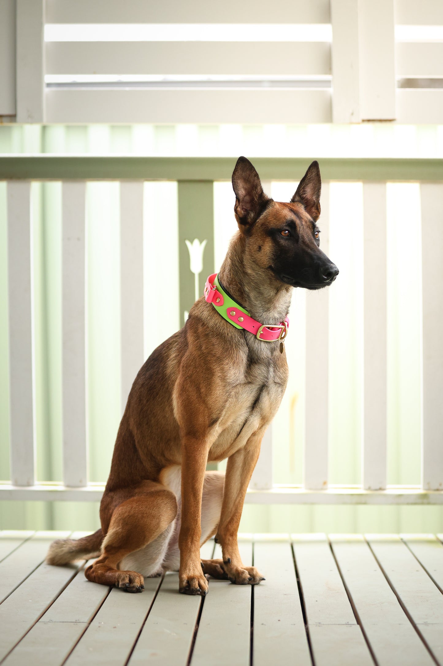 Retractable Handle Collar