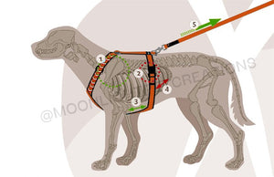 CUSTOM Braided Harness