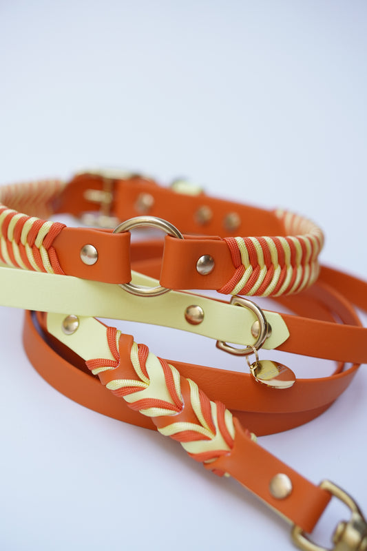 Collar and leash set- 52-62cm
