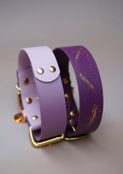 Custom 38mm Biothane® collar