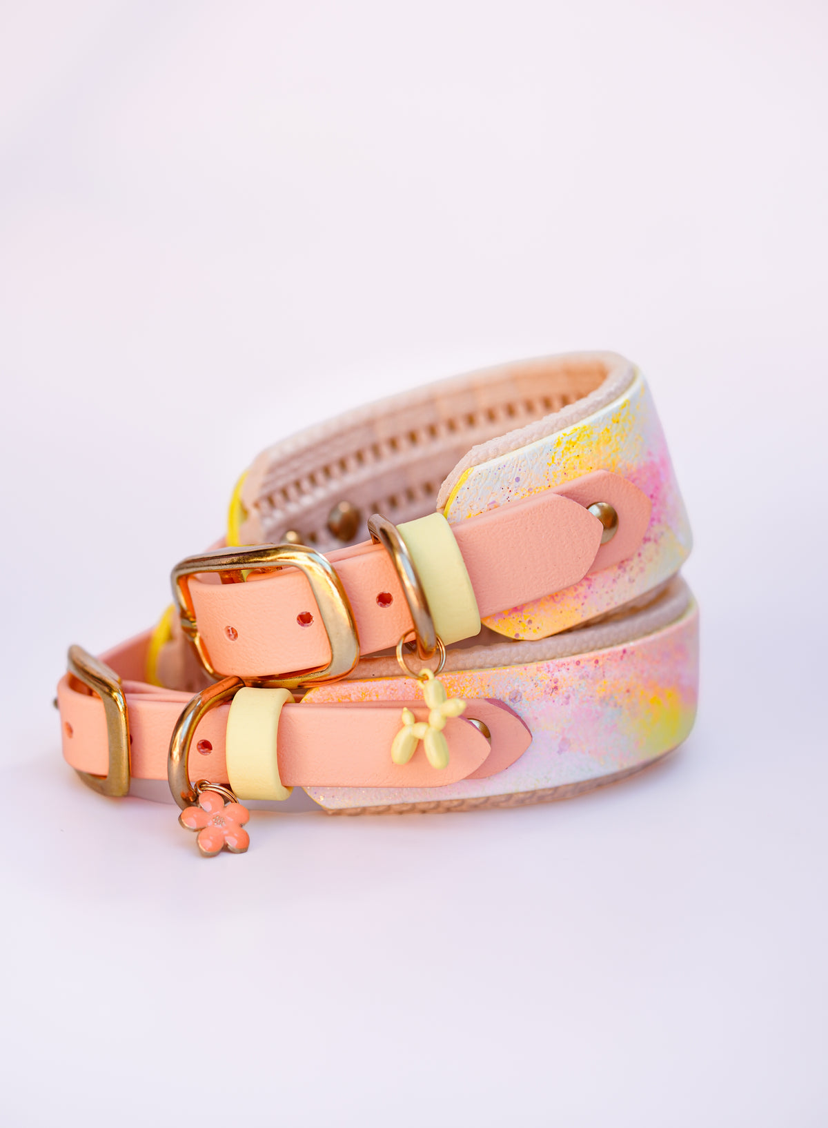 Size 27-33cm//  Painted collar