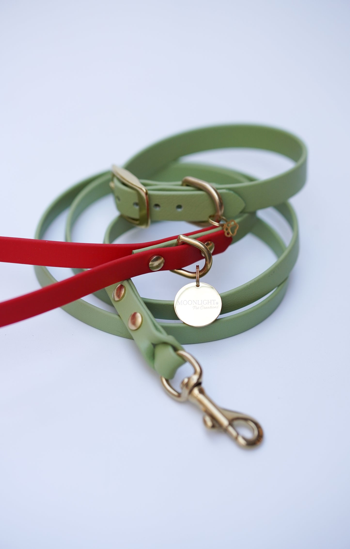 Collar & Leash set (25-30cm)