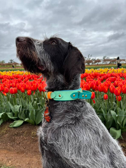 (NEW) Retractable Handle Collar